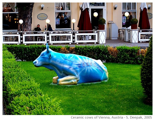 Colourful ceramic cows, Vienna, Austria - images by Sunil Deepak, 2005