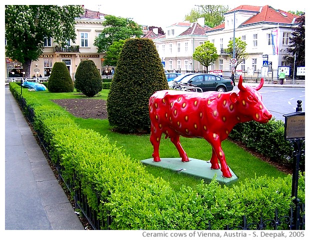 Colourful ceramic cows, Vienna, Austria - images by Sunil Deepak, 2005