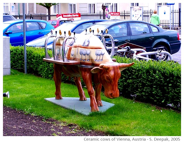 Colourful ceramic cows, Vienna, Austria - images by Sunil Deepak, 2005