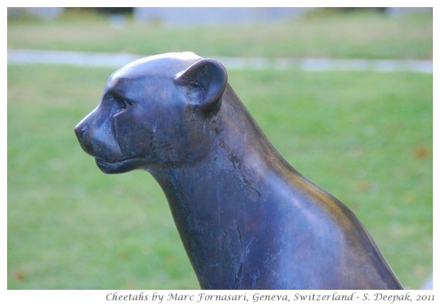 Cheetah by Marc Fornasari, Geneva, Switzerland - S. Deepak, 2011