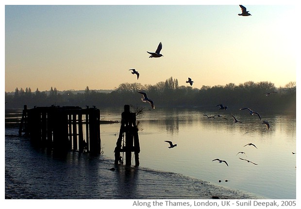 Thames, British Museum and Trafalgar square, London - images by Sunil Deepak, 2005