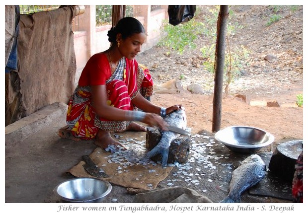 Fish seller women near Tungabhadra dam, Hospet, Karnataka, India - images by S. Deepak