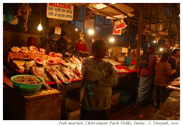 Fish market, Chitranjan Park Delhi - S. Delhi, 2011