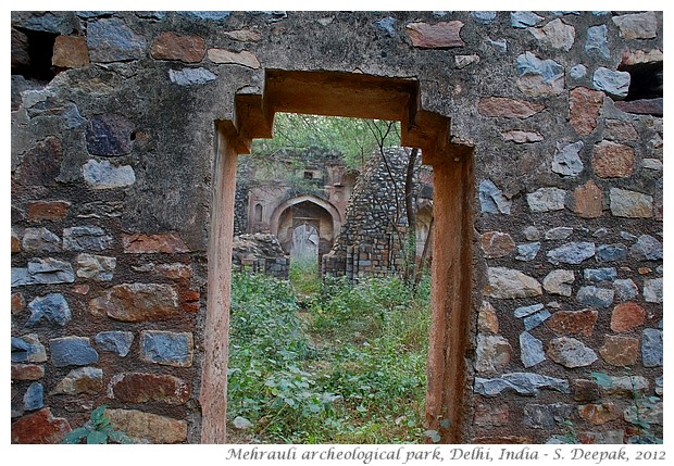 Mughal ruins, Mehrauli archeological park, Delhi, India - S. Deepak, 2012