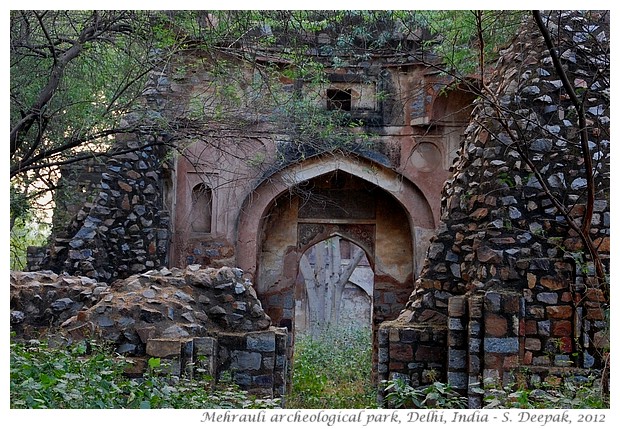 Mughal ruins, Mehrauli archeological park, Delhi, India - S. Deepak, 2012