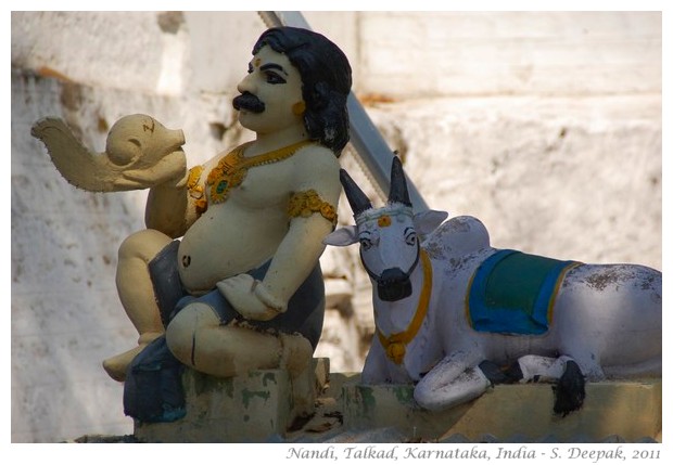 The sacred Nandi bull from temples in Talkad, India - S. Deepak, 2011