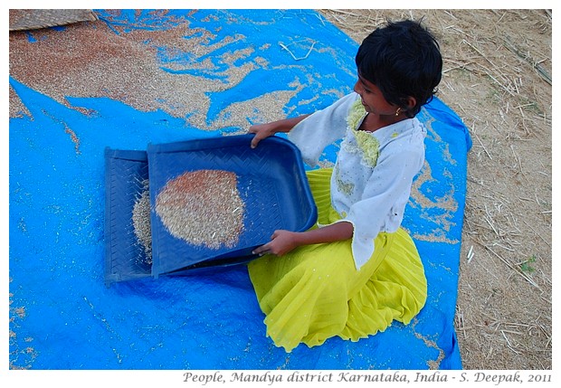 Village life, Mandya district, Karnataka, India - S. Deepak, 2012