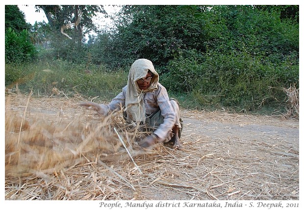 Village life, Mandya district, Karnataka, India - S. Deepak, 2012