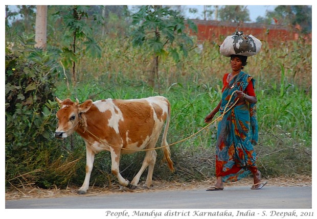 Village life, Mandya district, Karnataka, India - S. Deepak, 2012