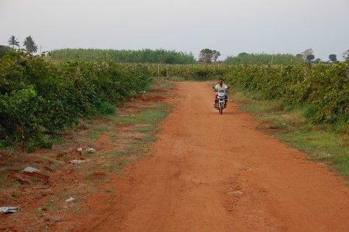 VSL agrotech project, Bellary district