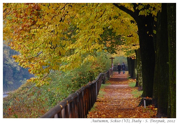 Autumn colours, Schio Vicenza Italy - S. Deepak, 2012