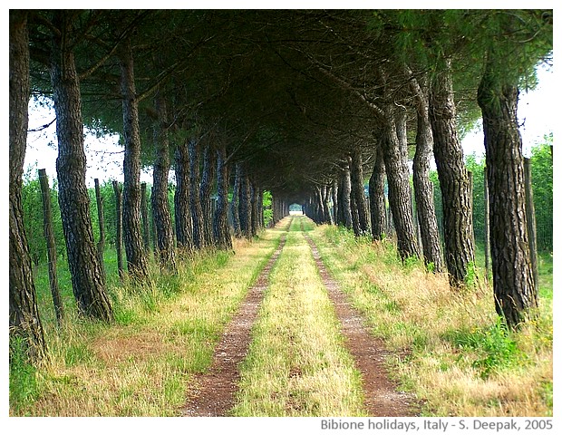 Holidays in Bibione, Italy - images by Sunil Deepak, 2005