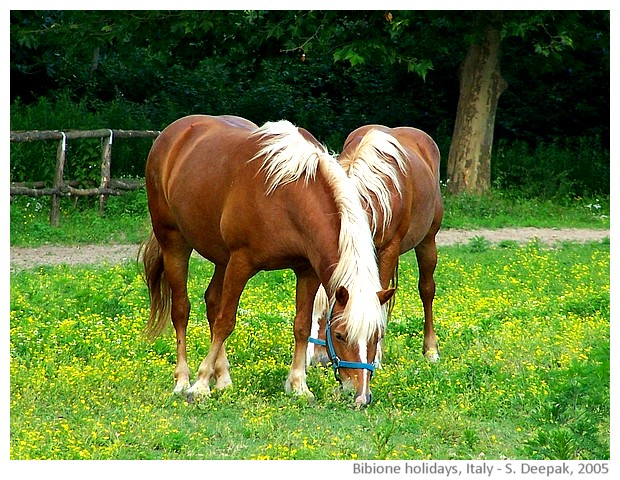 Holidays in Bibione, Italy - images by Sunil Deepak, 2005