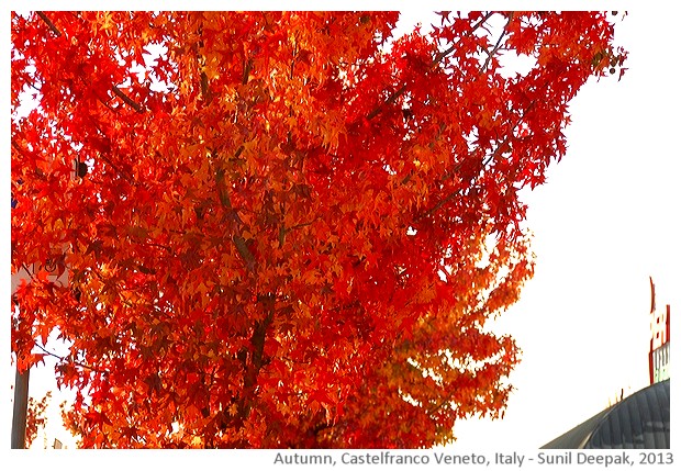 Autumn, Castelfranco Veneto, Italy -images by Sunil Deepak, 2013