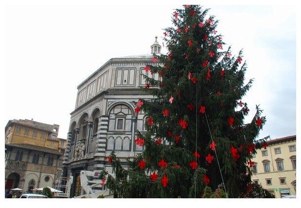 Christmas tree near cathedral of Florence, Italy