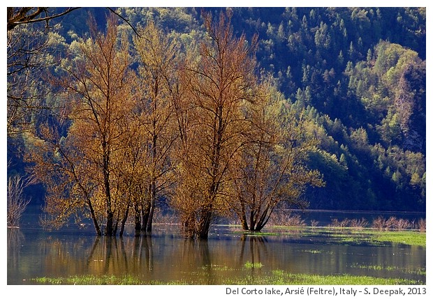 Del Corto Lake, Arsié (Feltre), Italy - S. Deepak, 2013