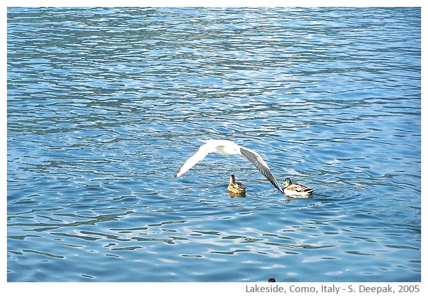 Como lakeside, Italy - images by Sunil Deepak, 2005