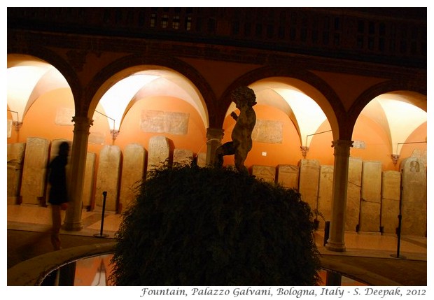 Fountain, Palazzo Galvani, Bologna, Italy - S. Deepak, 2012