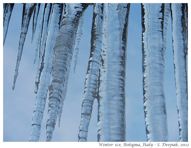 Ice daggers, Bologna winter 2012 - S. Deepak