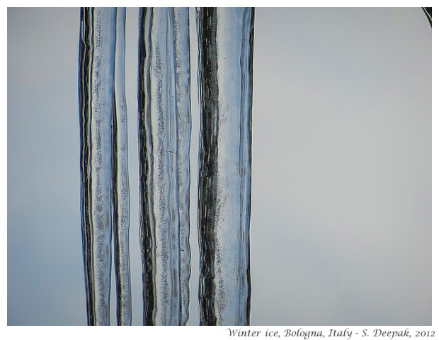 Ice daggers, Bologna winter 2012 - S. Deepak