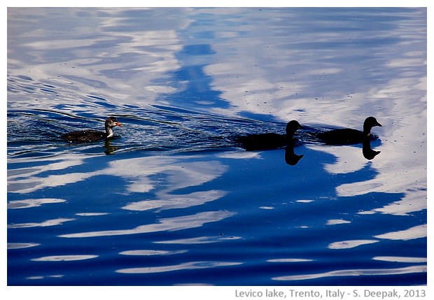 Levico lake, Trento, Italy - S. Deepak, 2013