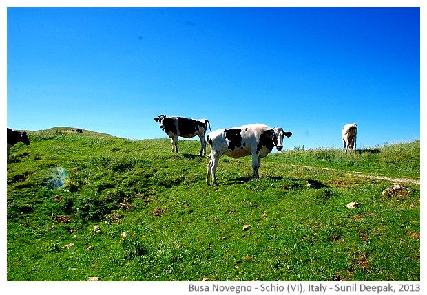 Busa Novegno mountain, Schio (VI), Italy - images by Sunil Deepak, 2013