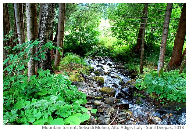 Selva di Molino, Alto Adige, Italy - images by Sunil Deepak, 2013