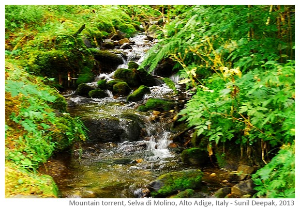 Selva di Molino, Alto Adige, Italy - images by Sunil Deepak, 2013