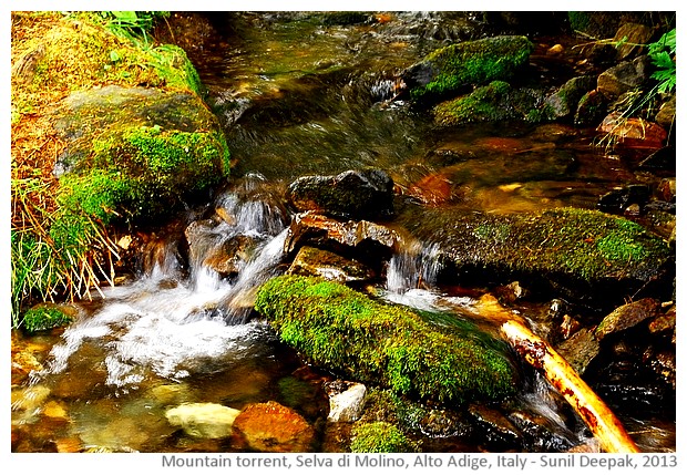 Selva di Molino, Alto Adige, Italy - images by Sunil Deepak, 2013