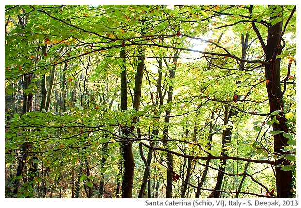 Nature, Santa Caterina Schio VI, Italy - S. Deepak, 2013