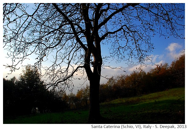 Nature, Santa Caterina Schio VI, Italy - S. Deepak, 2013