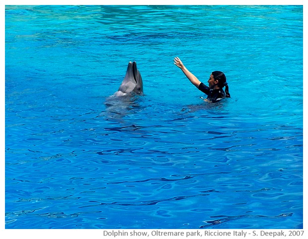 Dolphin show, Oltremare amusement park, Riccione, Italy - images by Sunil Deepak, 2007