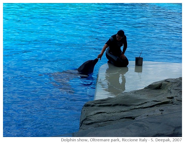 Dolphin show, Oltremare amusement park, Riccione, Italy - images by Sunil Deepak, 2007