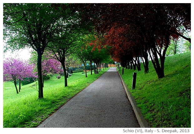 Changing colours of seasons, Schio, Italy - images by Sunil Deepak, 2013
