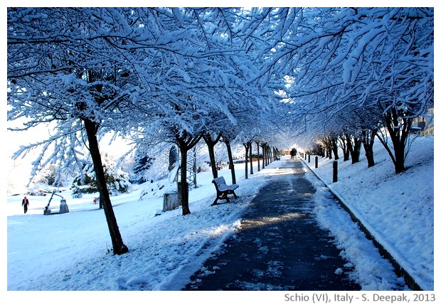 Changing colours of seasons, Schio, Italy - images by Sunil Deepak, 2013