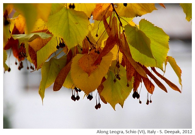 Along Leogra river, Schio, Italy - S. Deepak, 2012