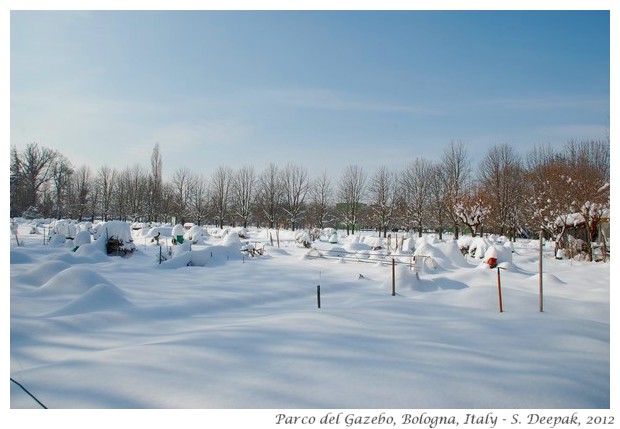 Snow & blue skies -S. Deepak, 2012