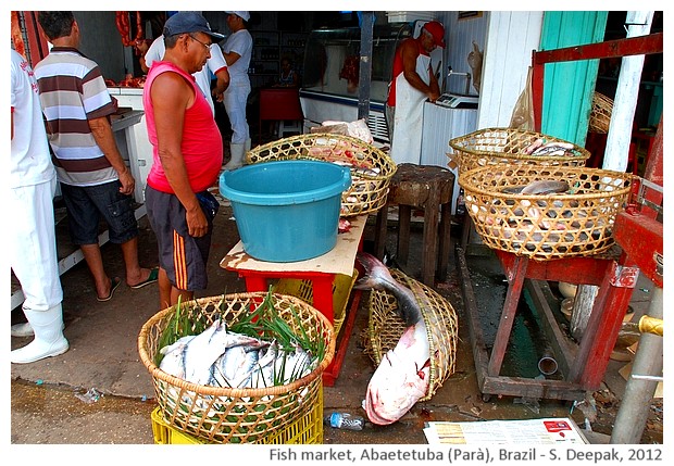 Fishing baskets, Abaetetuba, Parà, Brazil - S. Deepak, 2012