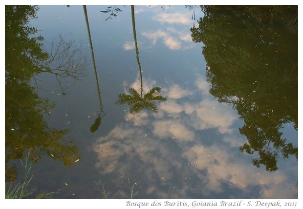 Lake at Bosque dos Buritis, Goiania (Goias), Brazil - images by S. Deepak