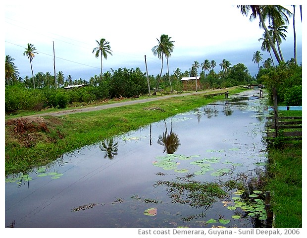 Network of canals in Guyana - images by Sunil Deepak, 2006