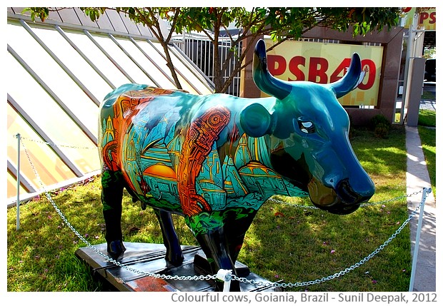 Colourful cow sculptures - Goiania Brazil - images by Sunil Deepak, 2014