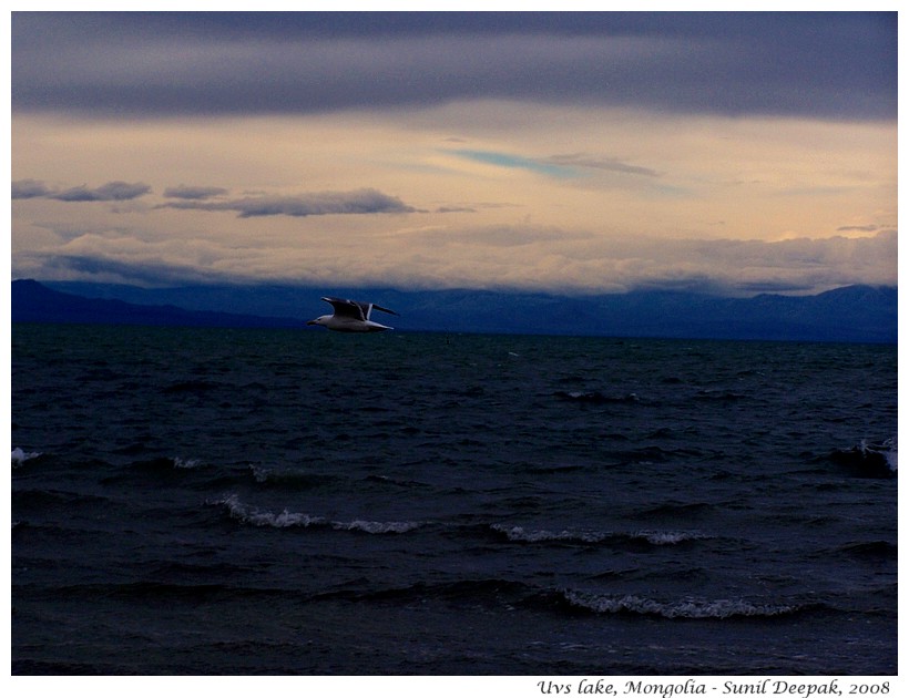 Uvs lake, Mongolia - Images by Sunil Deepak