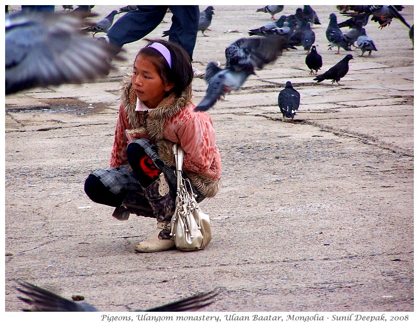 Pigeons, Ulangom monstery, Mongolia - Images by Sunil Deepak