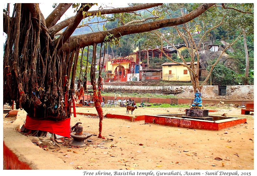 Guwahati City Walks - Basistha temple - Images by Sunil Deepak