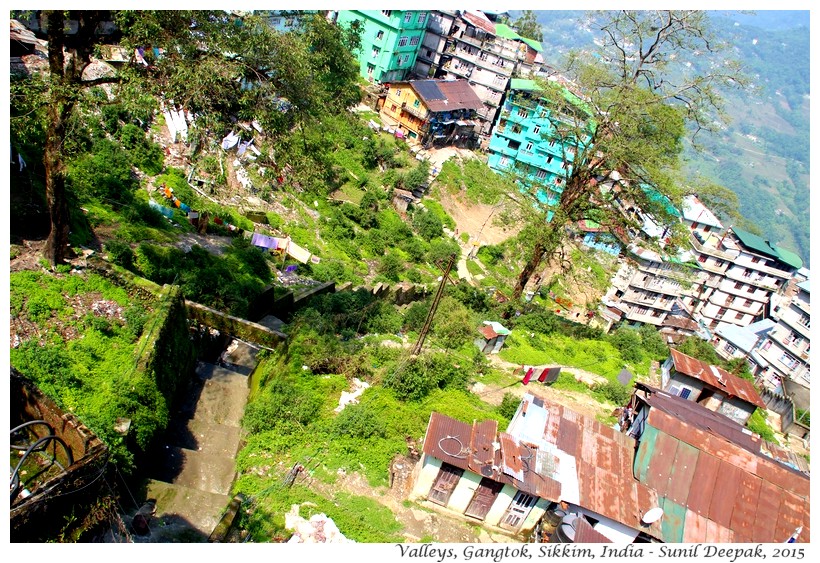 Green valleys, Gangtok, Sikkim, India - Images by Sunil Deepak