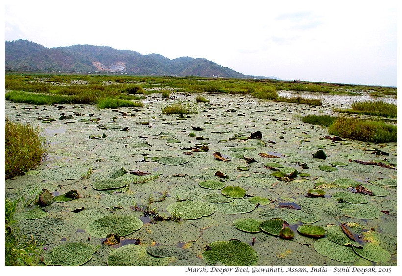 12 Images of Guwahati in 2015 - Images by Sunil Deepak