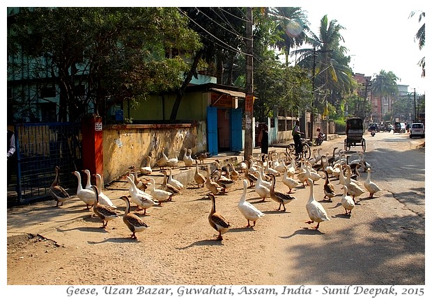 Introduction to Guwahati, Assam, India - Images by Sunil Deepak