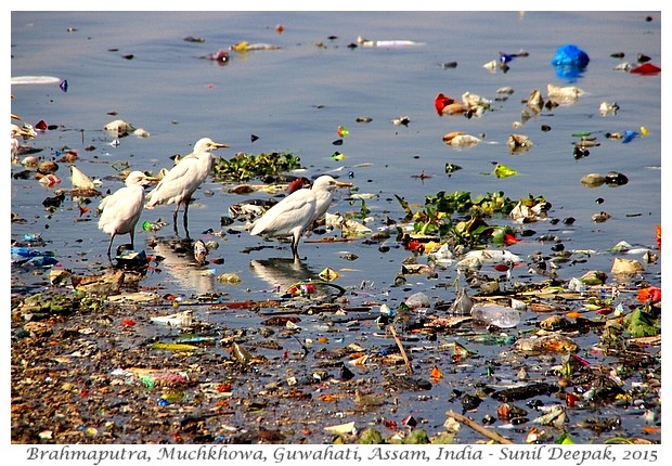 Introduction to Guwahati, Assam, India - Images by Sunil Deepak