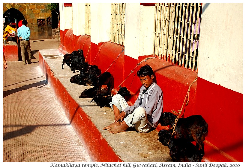 Kamakhaya temple, Guwahati, Assam, India - Images by Sunil Deepak