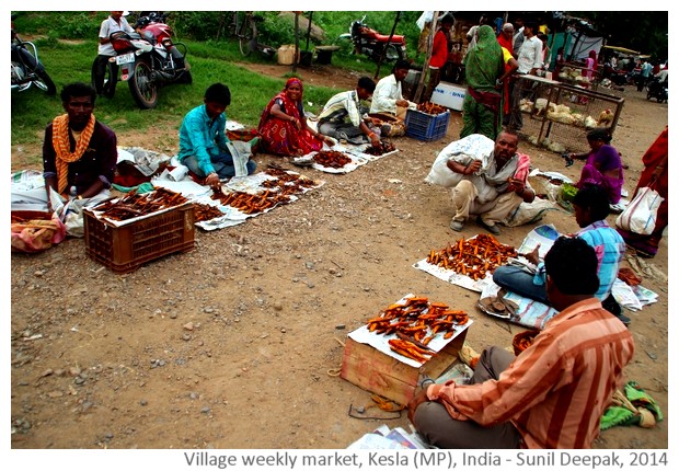 Kesla diary, India - images by Sunil Deepak, 2014